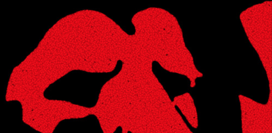 A drawn red lion like face on black background in the shape of Africa
